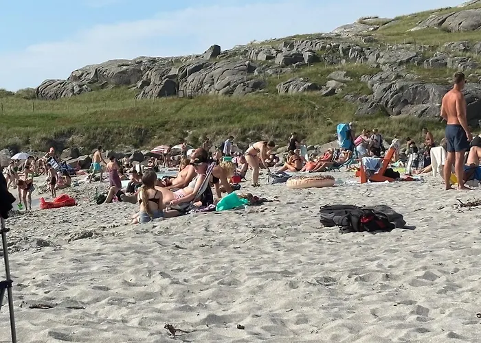 Sandve